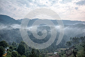 Morning landscape and mist in Bwindi Impenetrable National Park photo