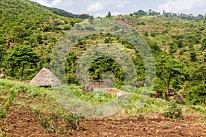 Small farm near Arba Minch, Ethiop