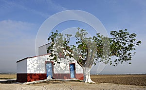 Small farm in Spain