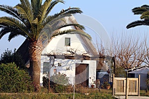 Small farmhouse typical of Valencia,La Albufera nature reserve, El Palmar, Valencia, Comunidad Valenciana, Spain. photo