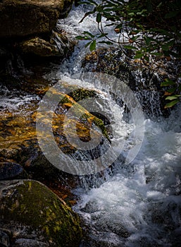 Small, fast running water flows over rocks near Cashiers, NC