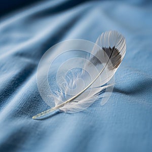 A small feather with a white