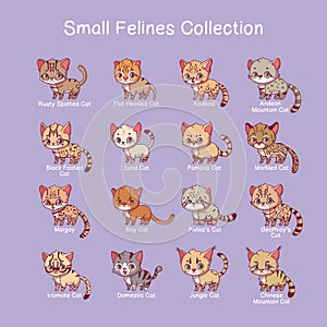 Small feline illustrations with name text