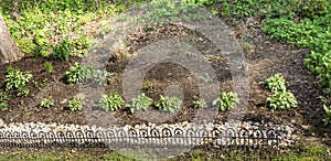 A Small Fenced Garden With Carefully Tended Plants