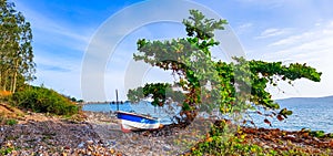 Small fiberglass boat use for fishing or sailing sport on the rock beach