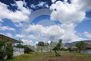 Small field with some olive trees under a cloudy sky. Megalo Pefko , Greece