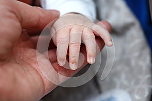 Small fingers, hands of a newborn baby in a man`s hand close-up . small depth of focus area