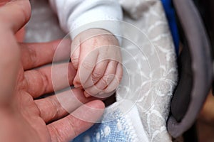 Small fingers, hands of a newborn baby in a man`s hand close-up . small depth of focus area