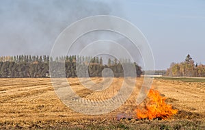 Small fire corner of field