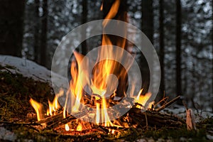 Small fire place in the forest