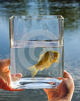 Small fish in a glass jar on the background of lake