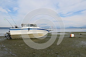 A small fishing boat is beached on a mooring ball at low tide