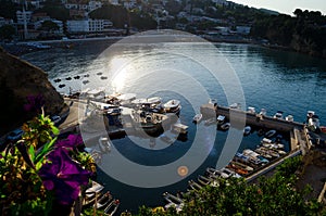 Small fishing boats marina with round pier