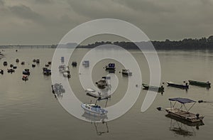 Small fishing boats, Pupin bridge