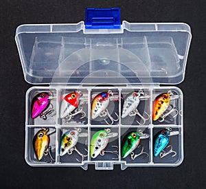 Small fishing lures for catching predatory fish in a box