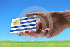 Small flag of Uruguay