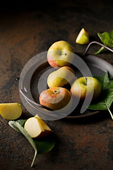 Small flattened apples on a metal tray on a dark