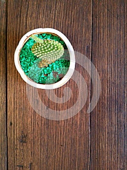 Small floras on the wood table.