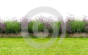 Small flower hedge isolated on white. Seamless endless pattern.