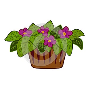 Small flower pot icon cartoon vector. Care indoor planter