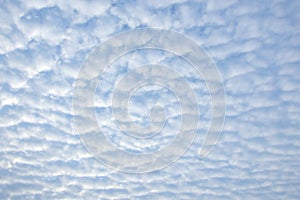 Small fluffy cirrocumulus clouds photo