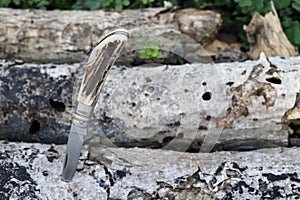 Small folding knife on fallen tree