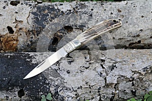 Small folding knife on fallen tree