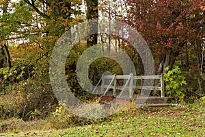 Small footbridge in autumn woods