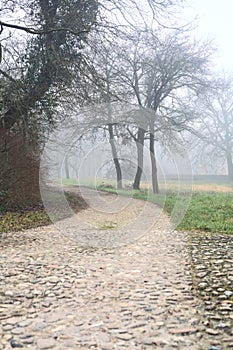 Small footbridge and a gravel path on a foggy day in a park