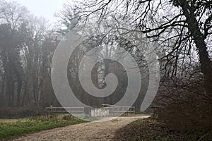 Small footbridge and a gravel path on a foggy day in a park