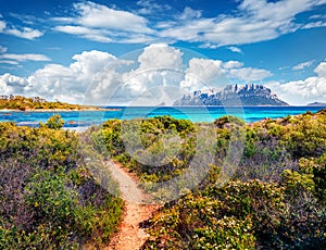 Small footpath to Spiaggia del dottore beach. Stunning morning scene of Sardinia island with Tavolara island on background, Italy, photo