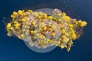 Small forest covered island top aerial view