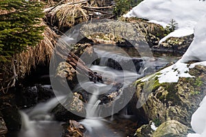 Small forest creek in winter