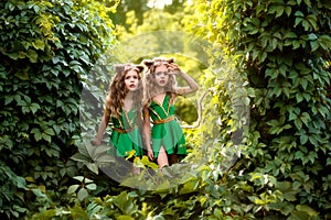 Small forest dwellers photo