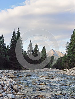Lesná rieka, ihličnaté stromy a okrúhle kamene po oboch stranách, večerné slnko svieti na vrch Kriváň Slovenský symbol v