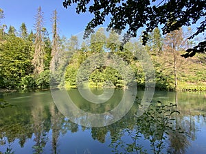 Small forest spring ÄŒogrljevo Lake or ÄŒogrlje`s Lake in the hamlet of TiÄ‡i - Gorski kotar, Croatia / Goransko Å¡umsko jezerce