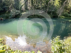 Small forest spring ÄŒogrljevo Lake or ÄŒogrlje`s Lake in the hamlet of TiÄ‡i - Gorski kotar, Croatia / Goransko Å¡umsko jezerce