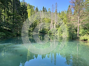 Small forest spring ÄŒogrljevo Lake or ÄŒogrlje`s Lake in the hamlet of TiÄ‡i - Gorski kotar, Croatia / Goransko Å¡umsko jezerce