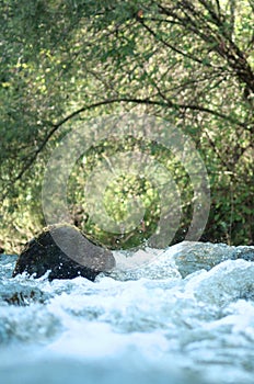 Small forest waterfall-background image.
