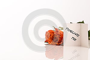 Small Forgive Me Card Beside Orange Rose