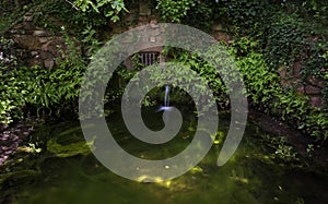 Small fountain in the middle of the forest