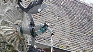 A Small Fountain in the Sculpture of the Serpent's Head. the Action in Slow