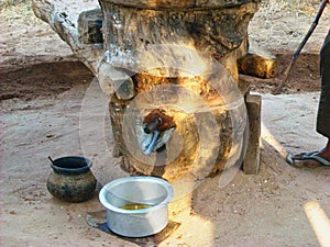 a small fountain in vietnam photo