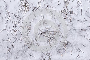 Small fragment of a wild meadow. Over hummocks of a dry grass snow formed the roughnesses photo