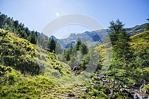 Small fresh Alpine stream in the Dolomites photo