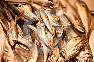 Small fresh fish on store counter