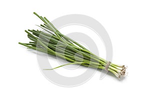 Small fresh spring onions