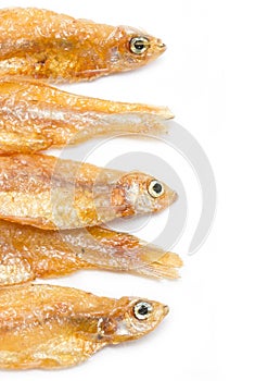 Small Fried Fish.