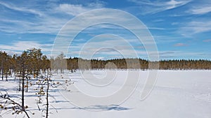 Small frozen lake in winterly Swedish Lapland