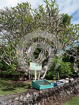 Small Fruit stand on the Hana Highway in Maui